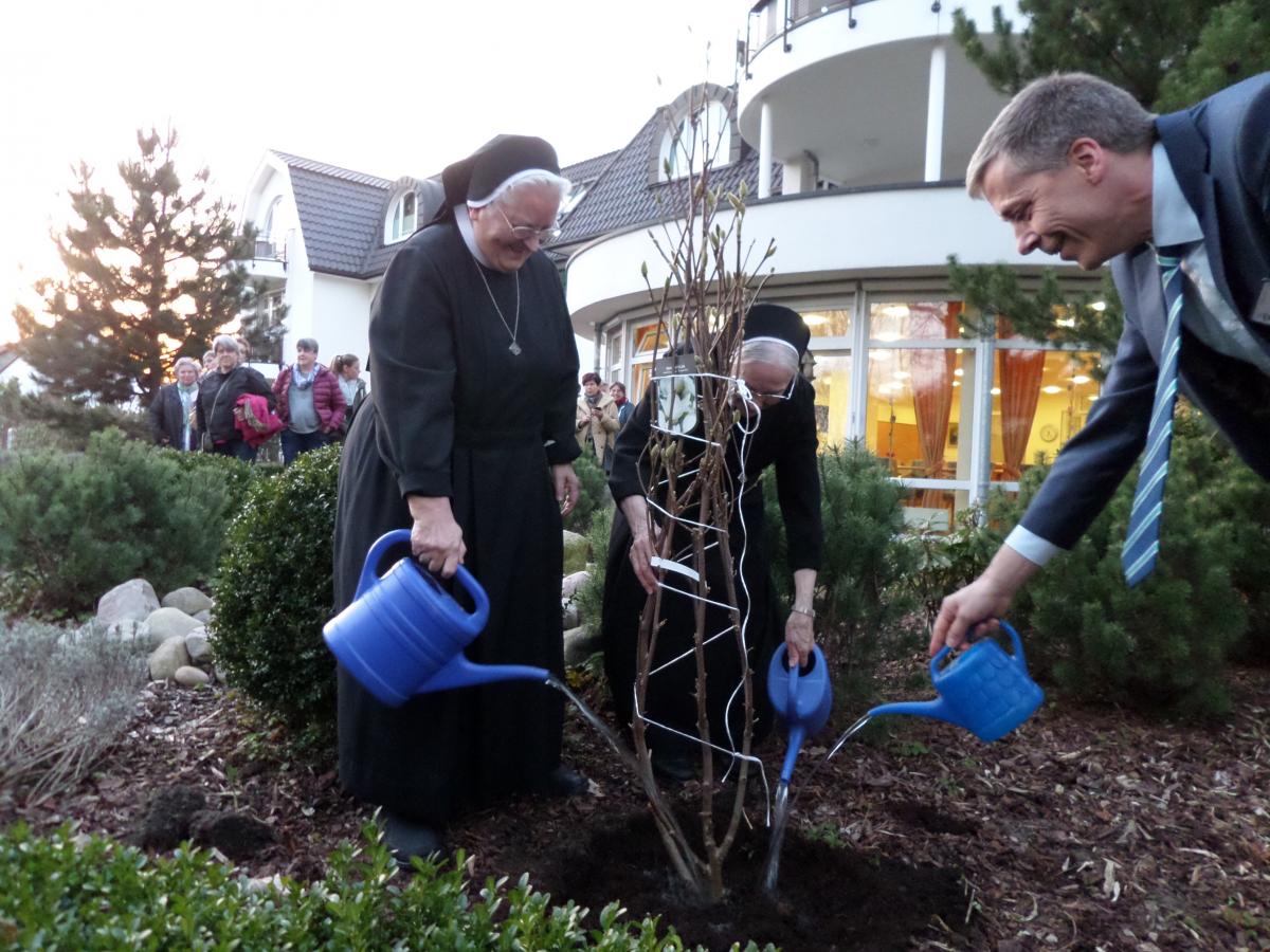 Die Schwestern M. Cordula (von links) und M. Coronata sowie Heimleiter Carsten Bothe pflanzen eine Magnolie im Garten des Altenpflegeheims.
